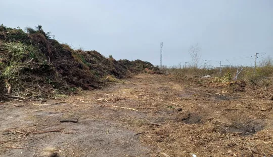 Terrain - Photo N°01