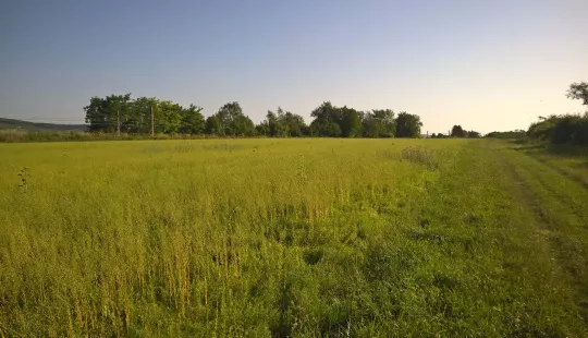 Terrain nu (champ) à louer sur la commune de Ladoix-Serrigny