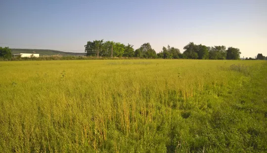 Terrain nu à louer sur la commune de Ladoix-Serrigny