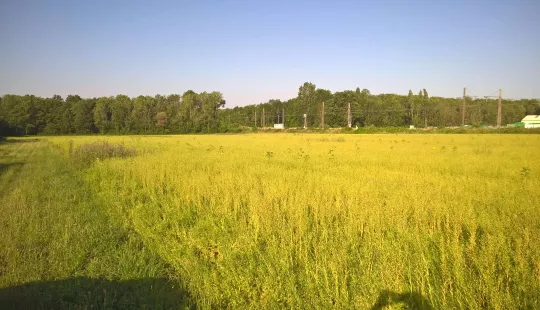 Photographie d'un terrain nu à louer sur la commune de Ladoix-Serrigny
